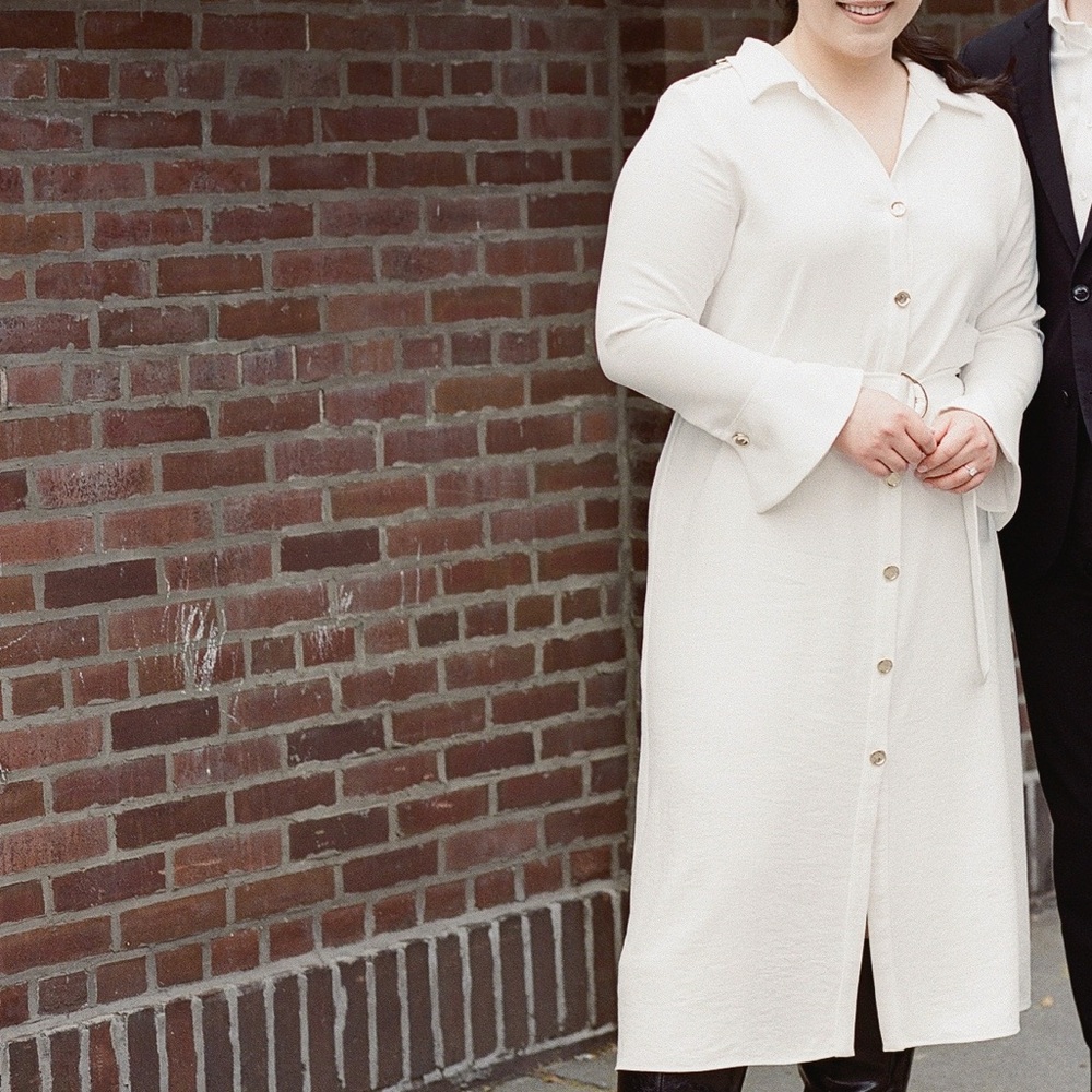 Zara Button Down Shirtdress